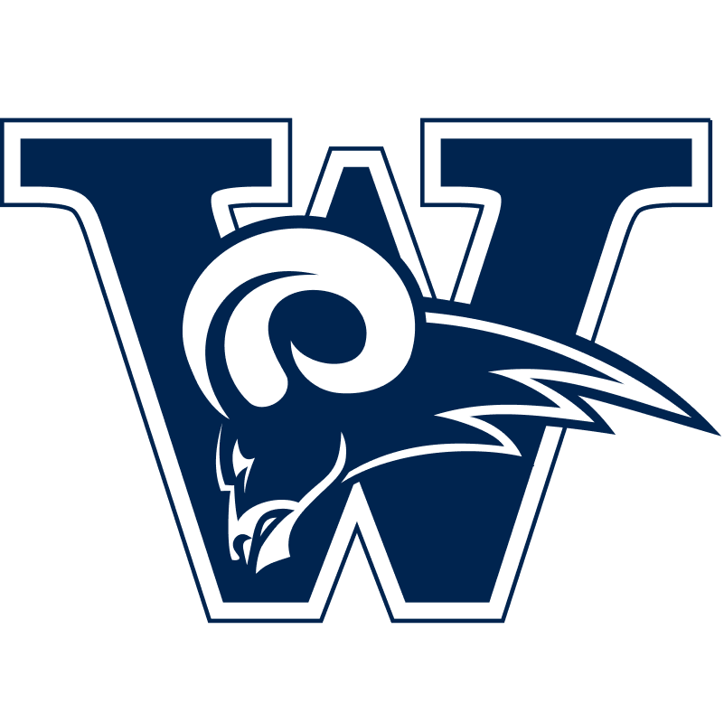 Official Online Store