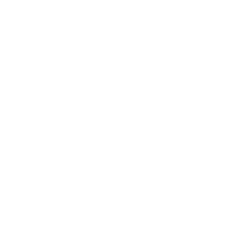 A commitment to Jewish values, the Jewish people and Israel